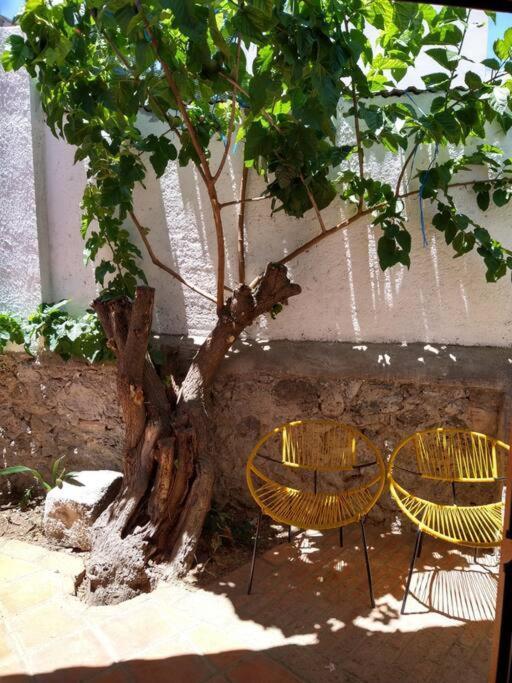 Original Y Comodo Loft En El Centro De Tulancingo Apartment Exterior photo